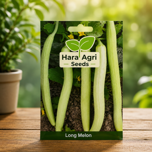 Premium High Germination Long Melon Vegetable Seeds for Home Gardening, Terrace Gardens & Farming