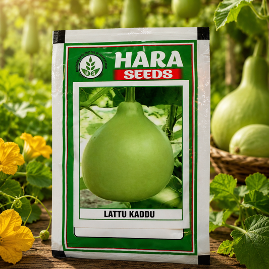 Premium Lattu Kaddu (Bottle Gourd) Hybrid Seeds for Home Garden, Terrace Farming & Organic Vegetable Cultivation