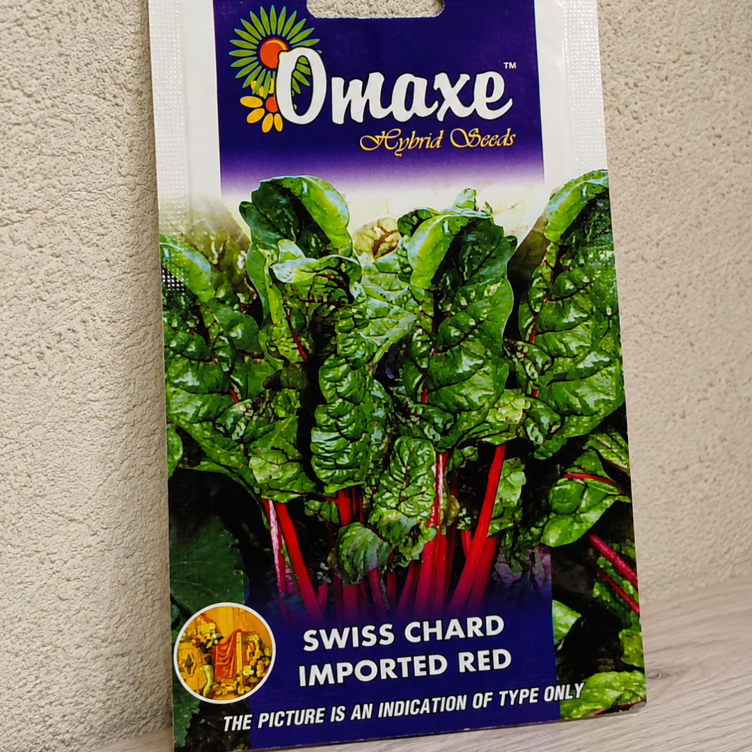 Omaxe Swiss Chard Imported Red Hybrid Seeds for Kitchen Garden, Terrace Gardening & Commercial Farming
