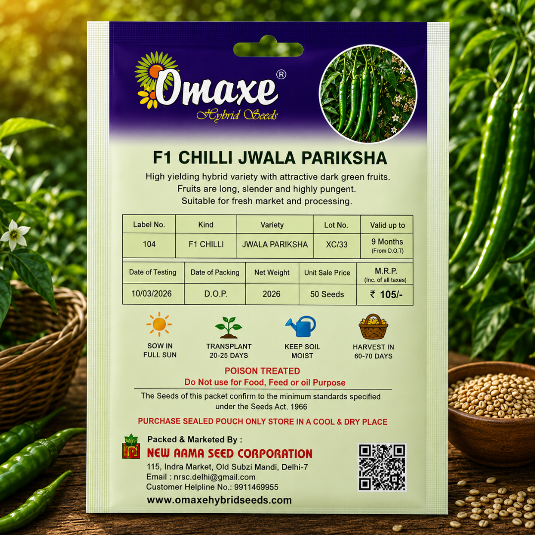 Premium F1 Chilli Jwala Pariksha Hybrid Seeds for Home Gardening, Terrace Farming & Commercial Cultivation