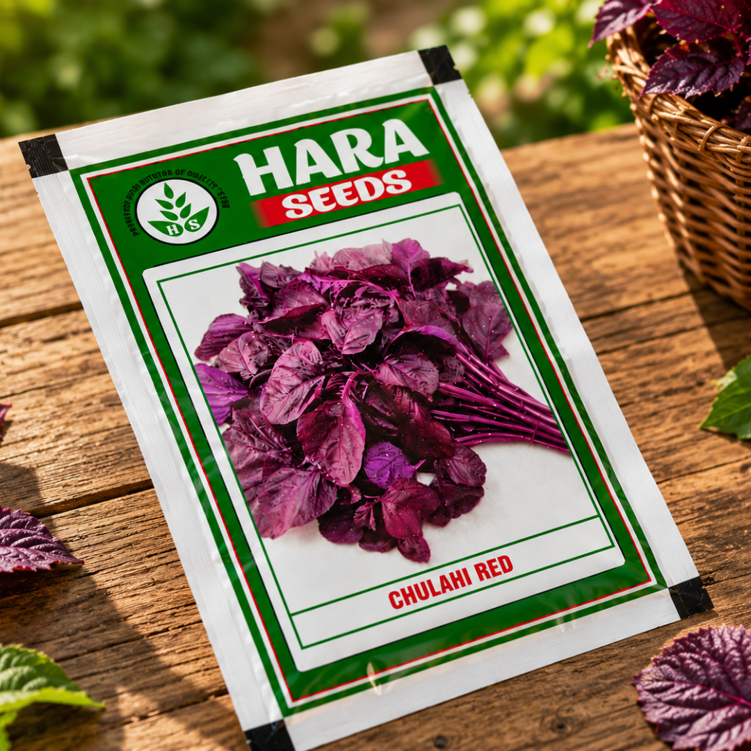 Hara Seeds Chulahi Red Seeds – Premium Red Amaranthus Seeds for Fast & Healthy Leaf Growth