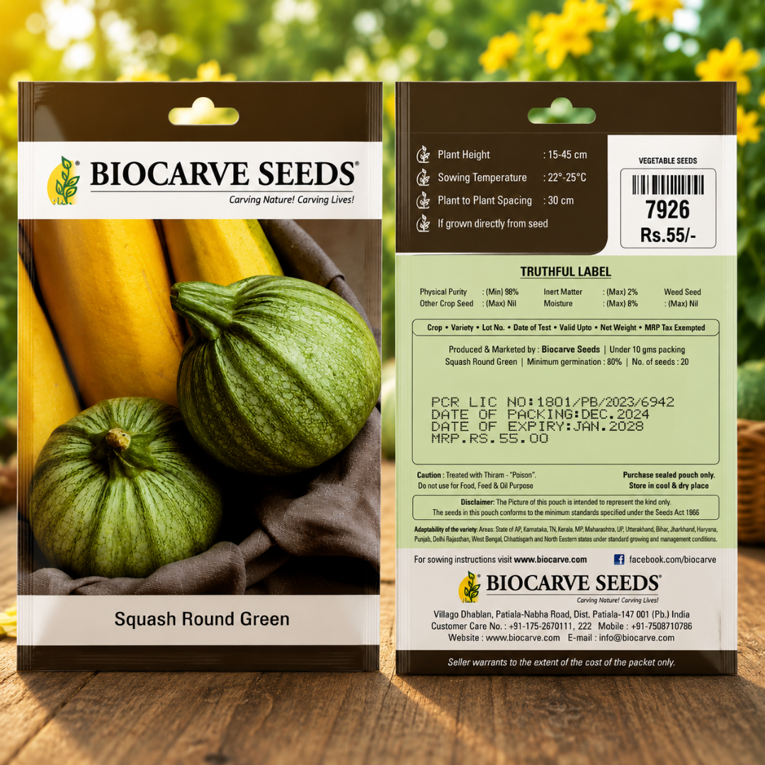 Premium Round Green Squash Seeds for Home Gardening & Farm Cultivation – High Germination Hybrid Vegetable Seeds by Biocarve Seeds