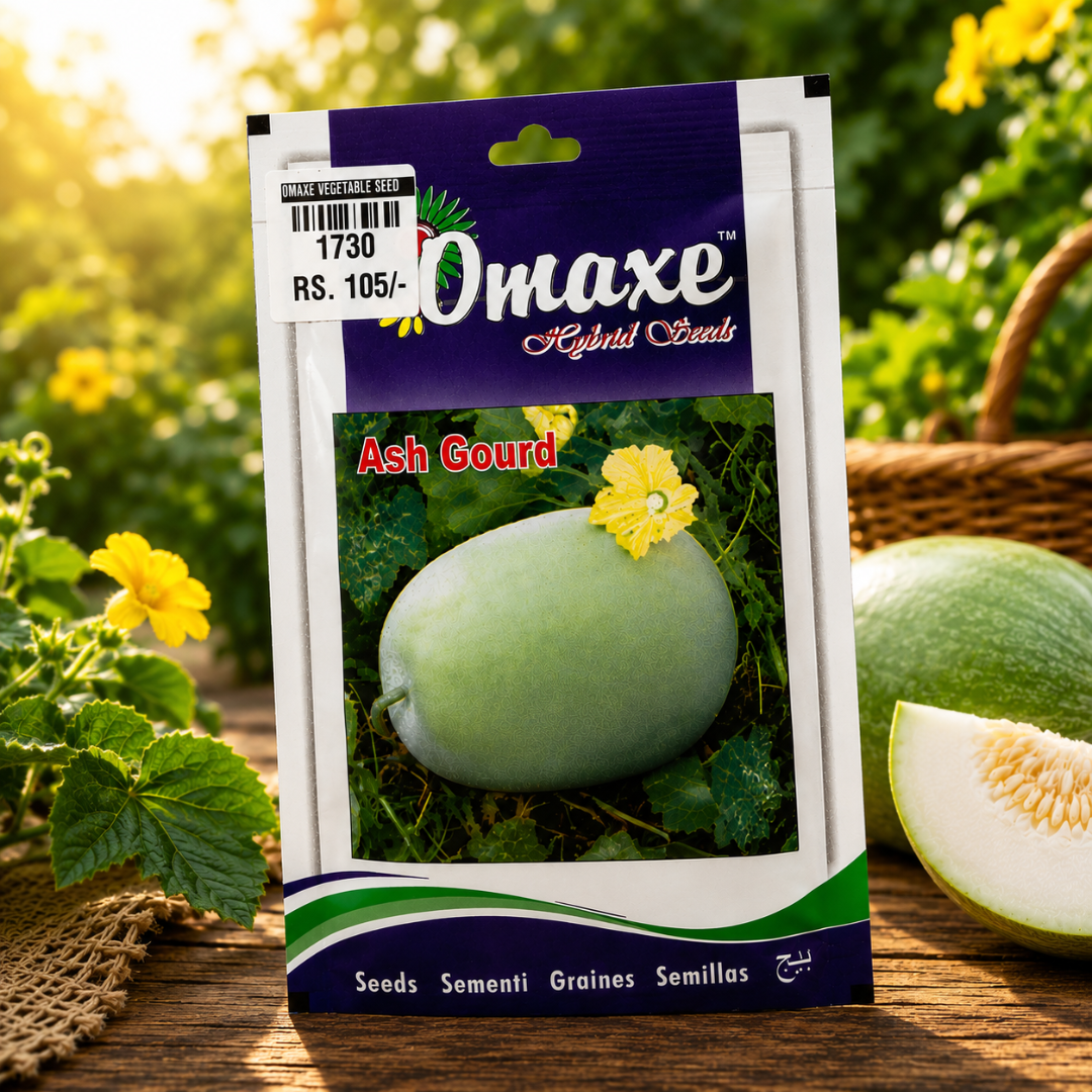 Premium Ash Gourd Vegetable Seeds for High Yield Farming & Kitchen Gardening in India