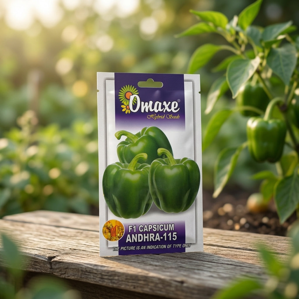 Premium F1 Capsicum Seeds for High Yield Colorful Bell Pepper Farming in India