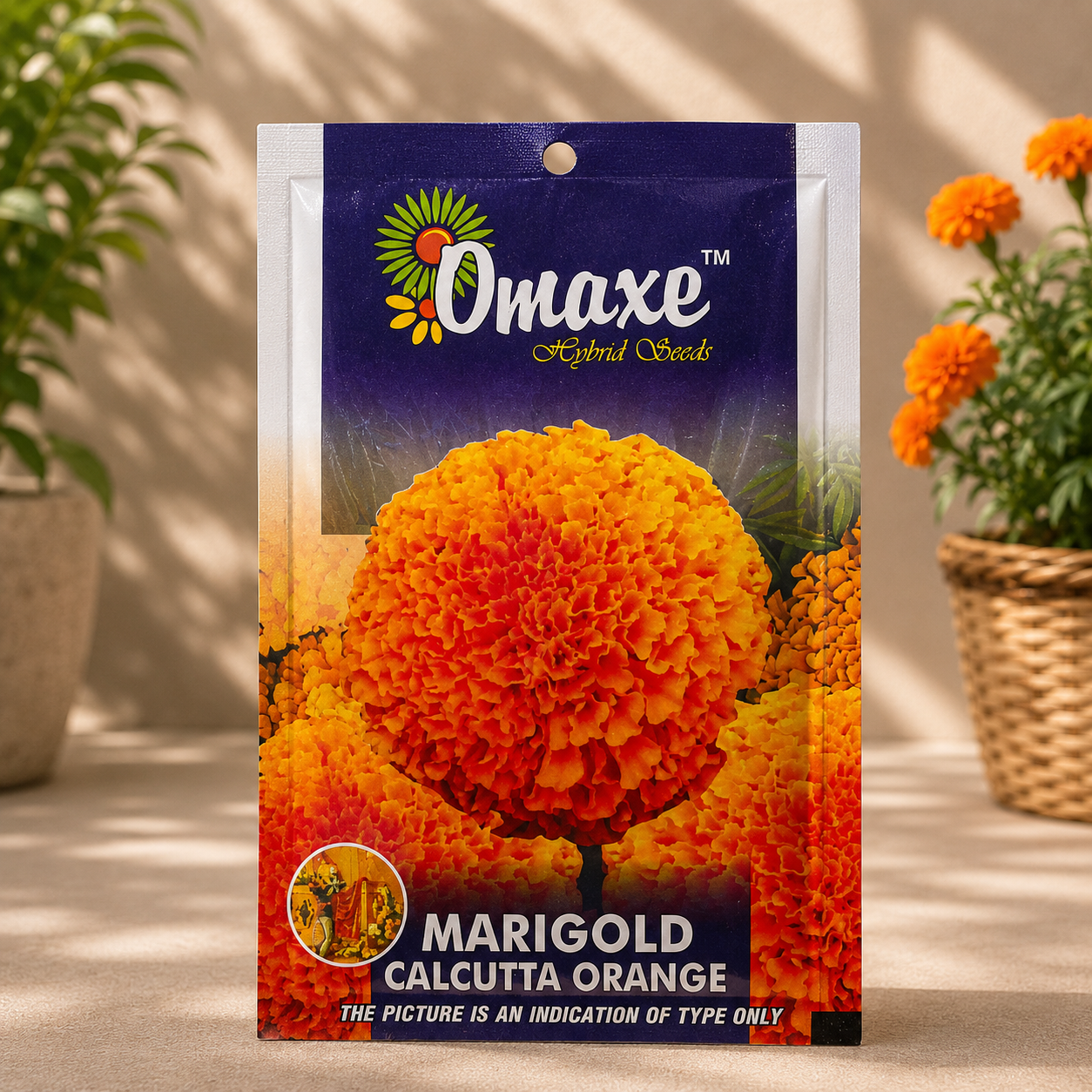 Omaxe Marigold Calcutta Orange Flower Seeds – Premium Bright Orange Hybrid Marigold Seeds for Home Garden & Decorative Flowering