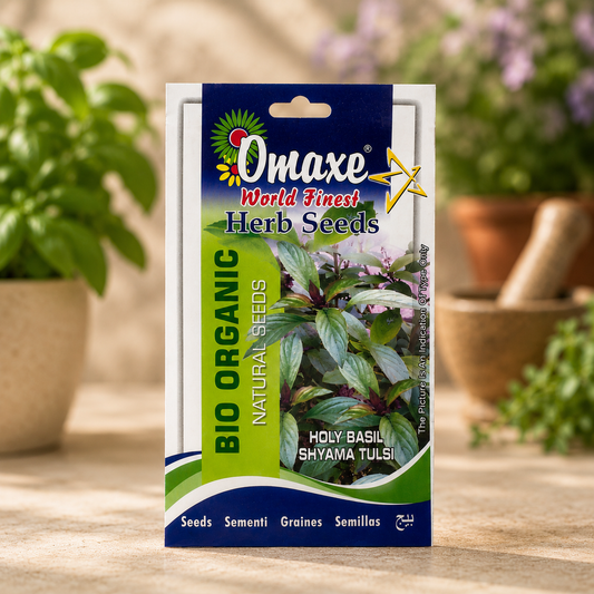 Basil Herb Seeds – Premium Quality Seeds for Home Garden, Balcony Planters & Organic Farming