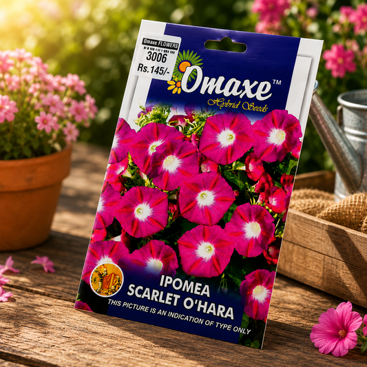 Omaxe Ipomea Scarlet O’Hara Flower Seeds – Premium Hybrid Morning Glory Seeds for Home Garden & Balcony Gardening