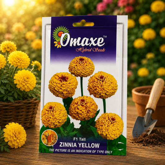 Omaxe Hybrid Seeds F1 Tall Zinnia Yellow Flower Seeds for Home Garden, Balcony Pots & Outdoor Flowering Plants
