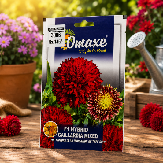 Omaxe F1 Hybrid Gaillardia Mixed Flower Seeds – Premium Colorful Blooming Seeds for Home Garden, Balcony & Terrace Gardening