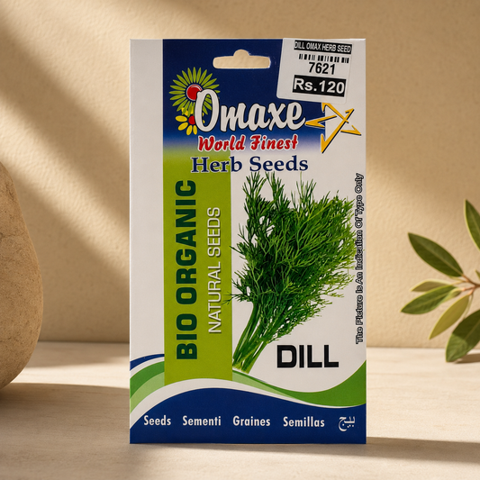 High Quality Dill Seeds for Organic Gardening - Premium Quality Seeds for Home Garden, Balcony Planters & Farming
