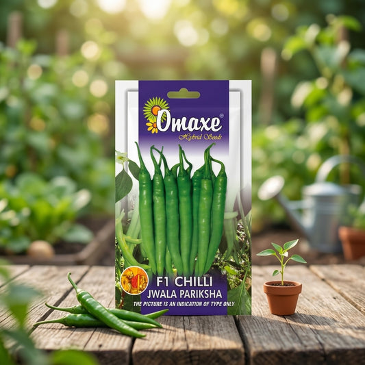 Premium F1 Chilli Jawala Prashika Seeds for High Yield Green Chilli Farming in India