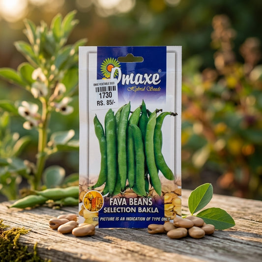Premium Fava Beans Bakla Seeds for High Yield Bean Farming & Kitchen Gardening in India