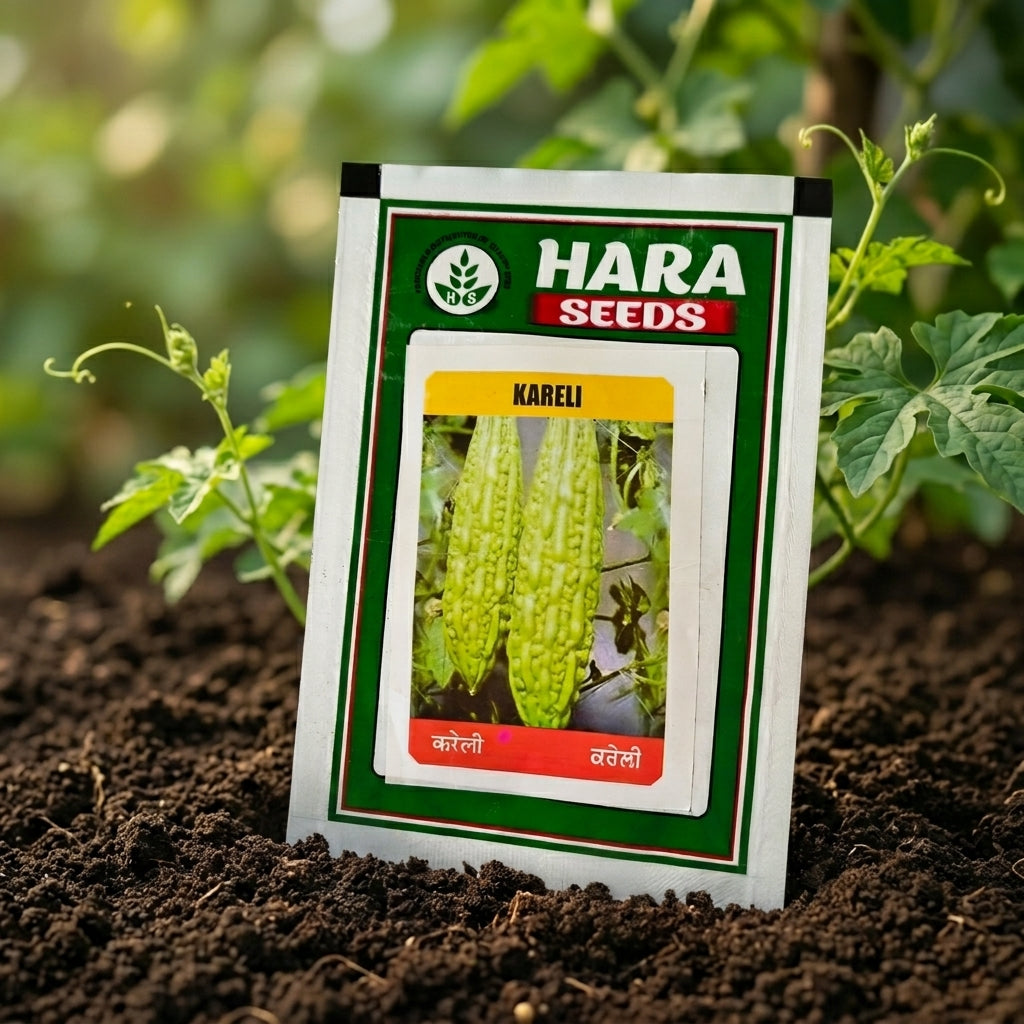 Premium Kareli Seeds for High Yield Bitter Gourd Farming & Kitchen Gardening in India