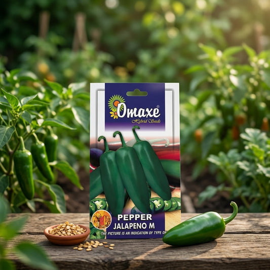 Premium Pepper Jalapeno M Seeds for High Yield Hot Pepper Farming in India