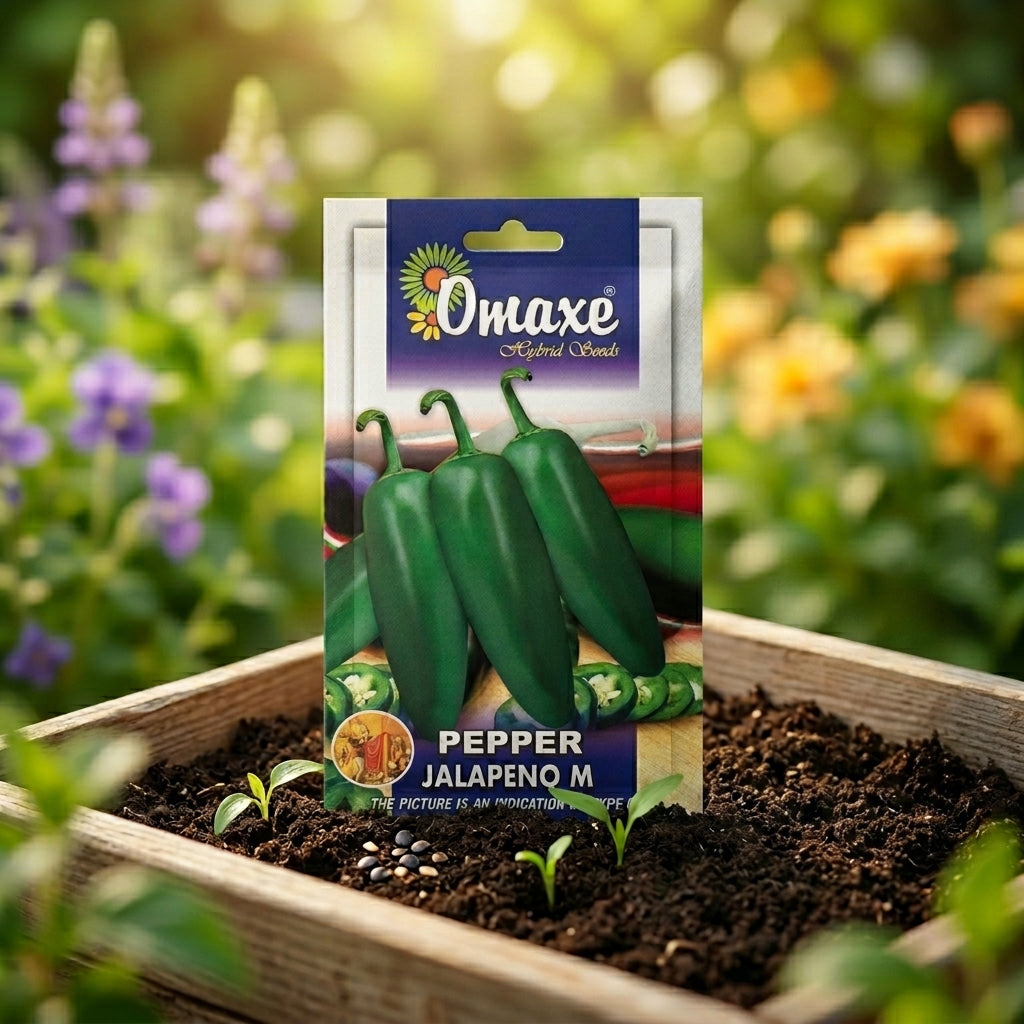 Premium Pepper Jalapeno M Seeds for High Yield Hot Pepper Farming in India
