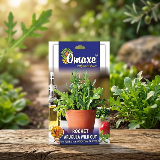 Premium Rocket Arugula Wild Cut Seeds for Leafy Salad Farming & Kitchen Gardening in India