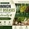 Common Plant Diseases and How to Treat Them Naturally: The Complete Guide for Healthy, Thriving Plants