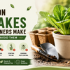 Common Mistakes New Gardeners Make and How to Avoid Them