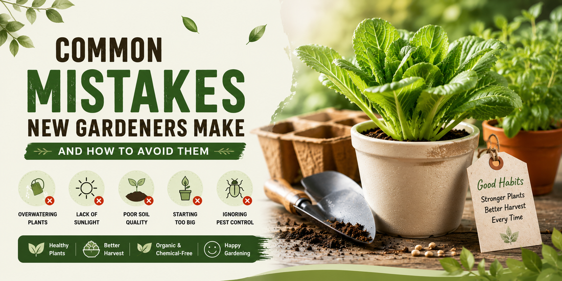 Common Mistakes New Gardeners Make and How to Avoid Them