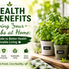 10 Health Benefits of Growing Your Own Herbs at Home: A Complete Guide to Better Health and Sustainable Living