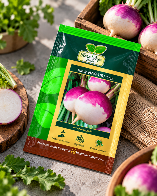 Hara Agri Seeds Turnip HAS-1191 (Imp.) Seeds – Purple & White Root Vegetable Seeds for Home Gardening, Kitchen Gardens & Commercial Cultivation
