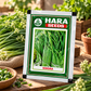 Hara Seeds Singra (Mongra) Vegetable Seeds 10g – Premium Quality Seeds for Kitchen Garden, Terrace Gardening & Home Vegetable Growing