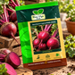 Beet Root F1 Hybrid HAS-2022 Seeds | High Yield Hybrid Beetroot Seeds for Farming & Kitchen Garden | Hara Agri Seeds