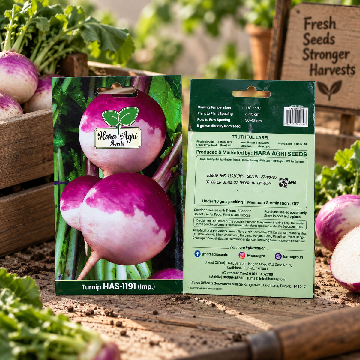 Hara Agri Seeds Turnip HAS-1191 (Imp.) Vegetable Seeds for Home Garden, Kitchen Garden & Direct Sowing – Under 10g Pack