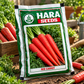 Hara Seeds Red Carrot Desi Seeds – Premium Red Gajar Vegetable Seeds for Home Gardening & Farming | High Germination Carrot Seeds for Winter Cultivation | 10g & 1kg Packs