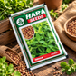 Hara Seeds Berseem BL-42 Fodder Seeds for Dairy Cattle & Livestock | High-Quality Green Fodder Seeds for Rabi Season | Fast-Growing Berseem Seeds for Multiple Cuttings