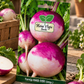Hara Agri Seeds Turnip HAS-1191 (Imp.) Vegetable Seeds for Home Garden, Kitchen Garden & Direct Sowing – Under 10g Pack