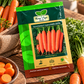 Carrot Nantes F1 Hybrid HAS-2076 – Hara Agri Seeds
