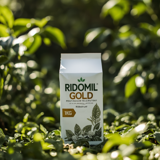 Ridomil Gold 1kg Fungicide for Effective Disease Control in Crops