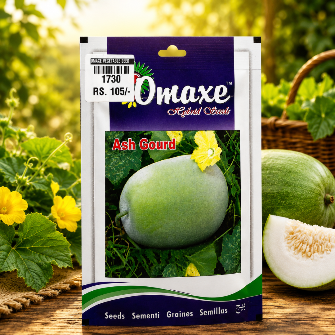 Premium Ash Gourd Vegetable Seeds for High Yield Farming & Kitchen Gardening in India