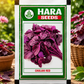 Hara Seeds Chulahi Red Seeds – Premium Red Amaranthus Seeds for Fast & Healthy Leaf Growth