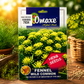 Premium Banga Seeds for Fast Growing High Yield Vegetable Farming & Kitchen Gardening