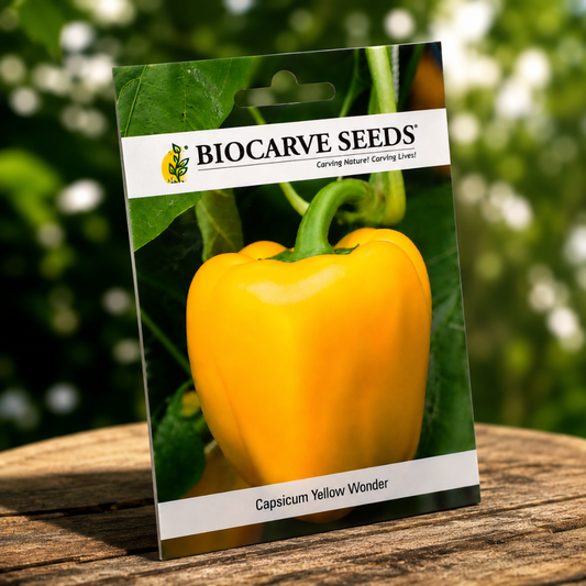 Premium Yellow Bell Pepper Seeds for Home Garden – High Yield Capsicum Yellow Wonder Vegetable Seeds by BIOCARVE SEEDS