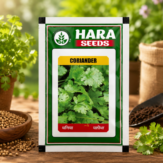 Hara Seeds Coriander Seeds – Premium Dhaniya Seeds for Home Garden & Farming
