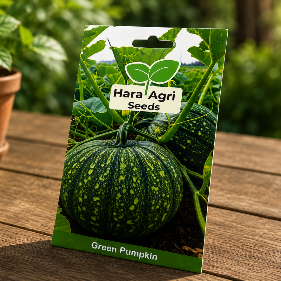 Premium Green Pumpkin Seeds for Home Gardening & High Yield Farming | Hara Agri Hybrid Green Pumpkin Seeds