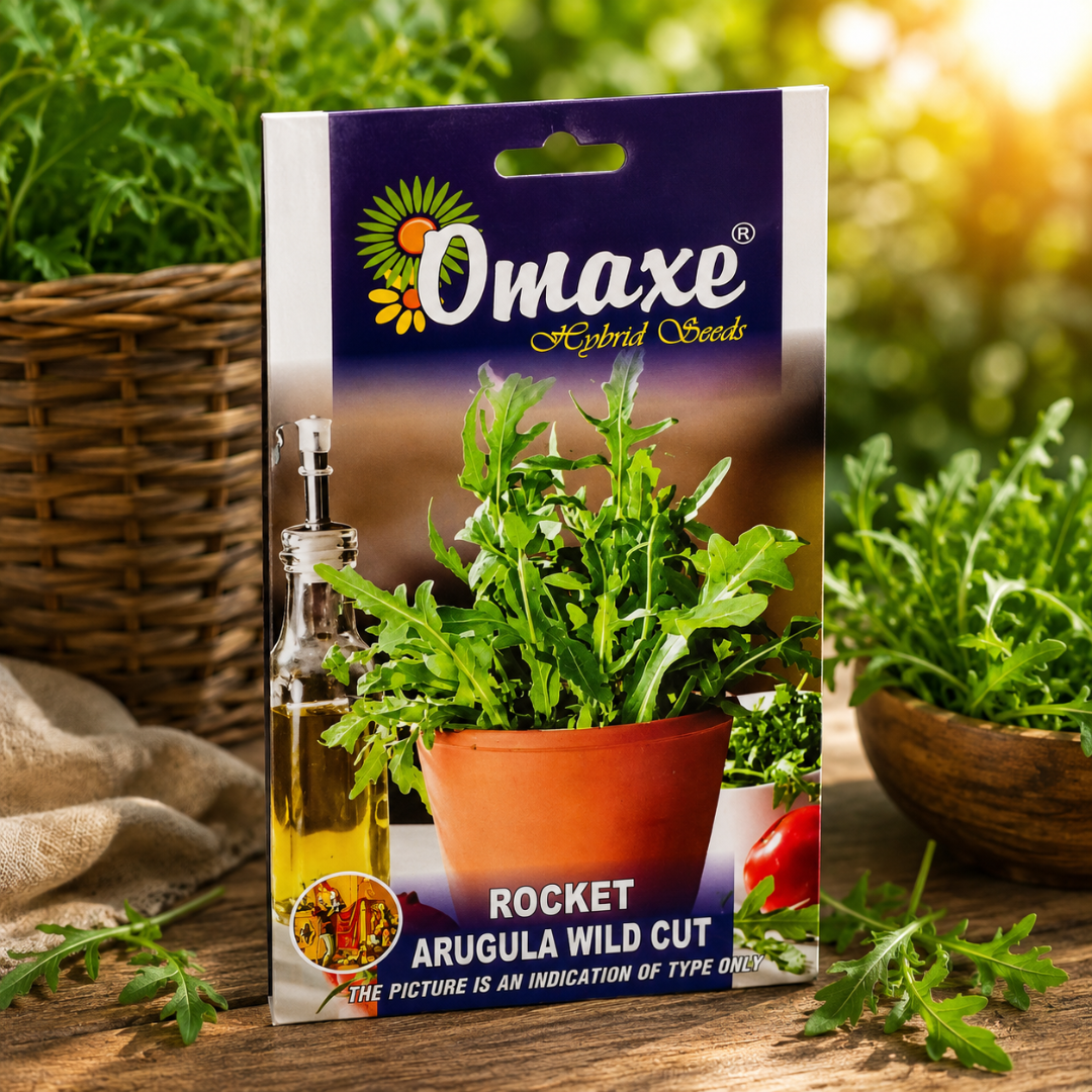 Premium Rocket Arugula Wild Cut Herb Seeds for Salad Gardening, Balcony Pots & Organic Leafy Green Farming