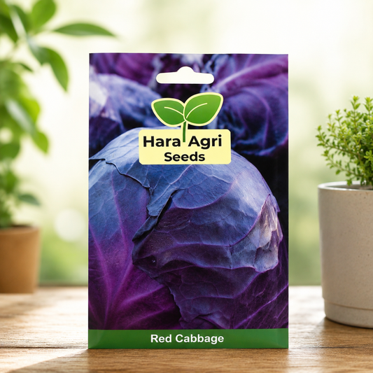 HARA Agri Seeds Red Cabbage Seeds – Premium High Germination Vegetable Seeds for Home Gardening & Farming