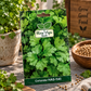 Coriander HAS-1141 Seeds | Hara Agri Seeds | Quality Coriander Vegetable Seeds for Fresh Green Leaves, Home Garden, Kitchen Garden, Terrace Garden & Pots