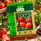 Hara Agri Tomato F1 Hybrid HAS-2181 Seeds – Premium High-Yield Tomato Seeds for Healthy Plants, Quality Fruits & Productive Vegetable Cultivation