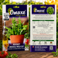 Premium Rocket Arugula Wild Cut Herb Seeds for Salad Gardening, Balcony Pots & Organic Leafy Green Farming