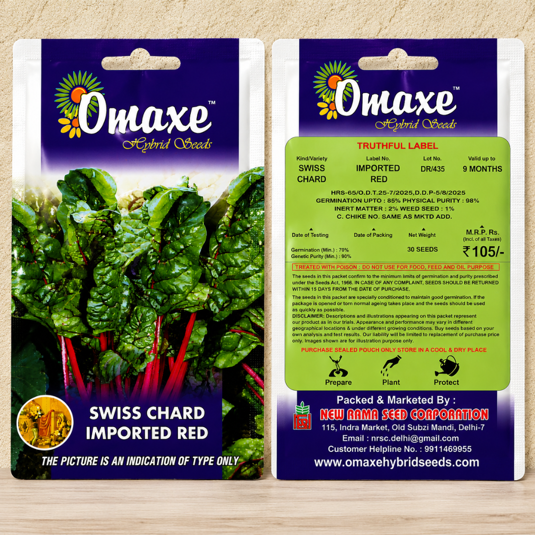 Omaxe Swiss Chard Imported Red Hybrid Seeds for Kitchen Garden, Terrace Gardening & Commercial Farming
