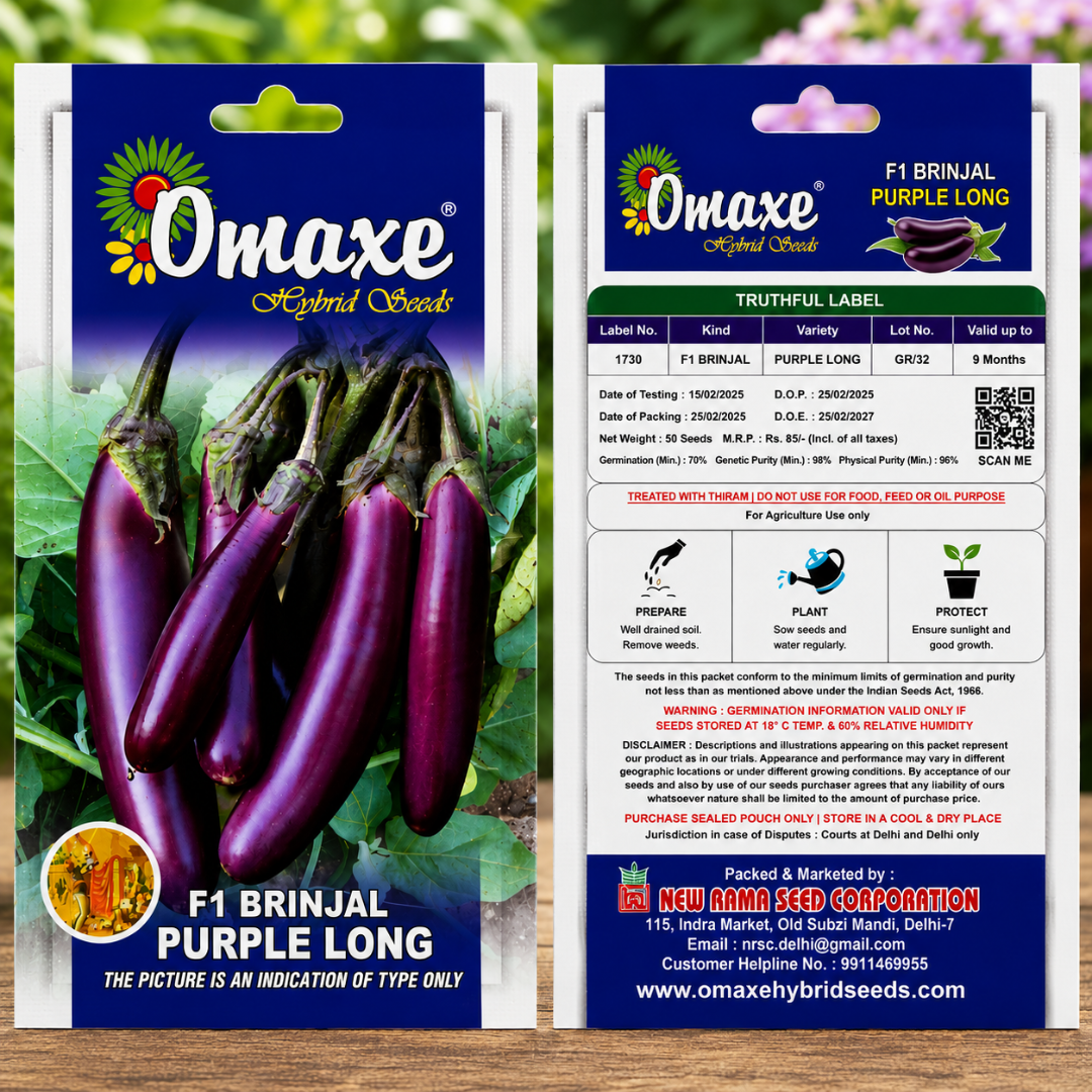 Premium F1 Brinjal Purple Long Seeds for High Yield Eggplant Farming in India