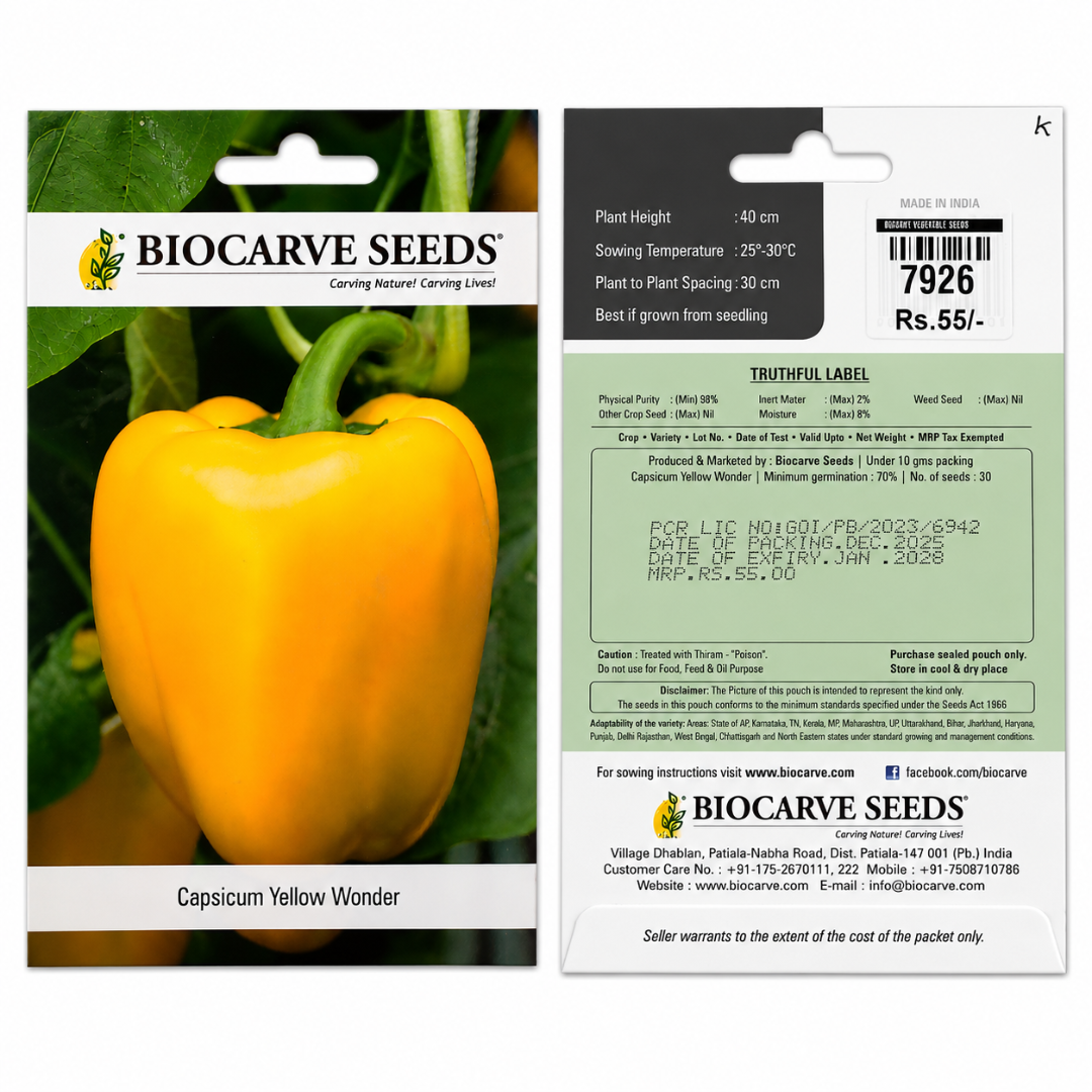 Premium Yellow Bell Pepper Seeds for Home Garden – High Yield Capsicum Yellow Wonder Vegetable Seeds by BIOCARVE SEEDS