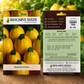 Premium Squash Round Yellow Vegetable Seeds for Home Garden, Terrace Farming & Organic Kitchen Gardening