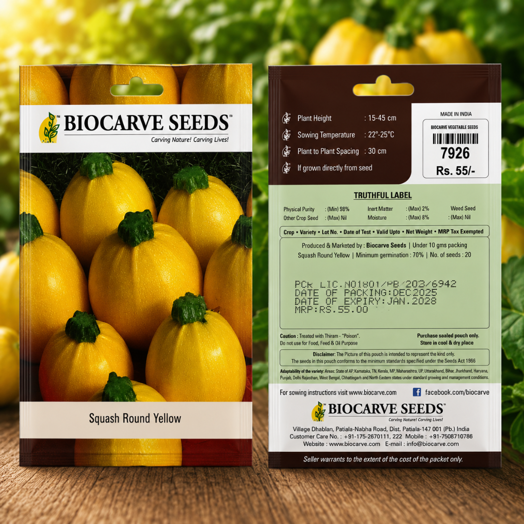 Premium Squash Round Yellow Vegetable Seeds for Home Garden, Terrace Farming & Organic Kitchen Gardening
