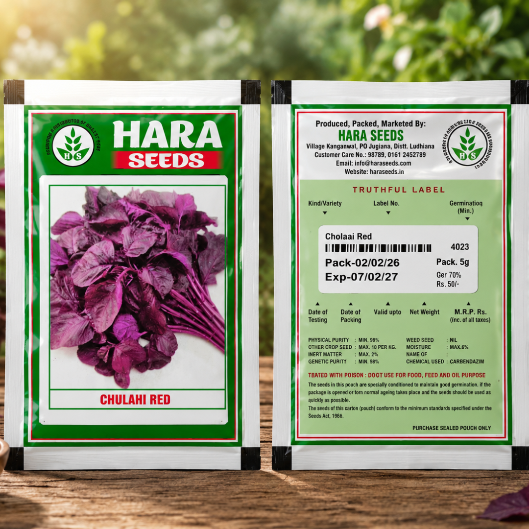 Hara Seeds Chulahi Red Seeds – Premium Red Amaranthus Seeds for Fast & Healthy Leaf Growth